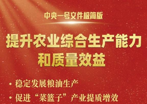 中央一號文件，極簡版來了！